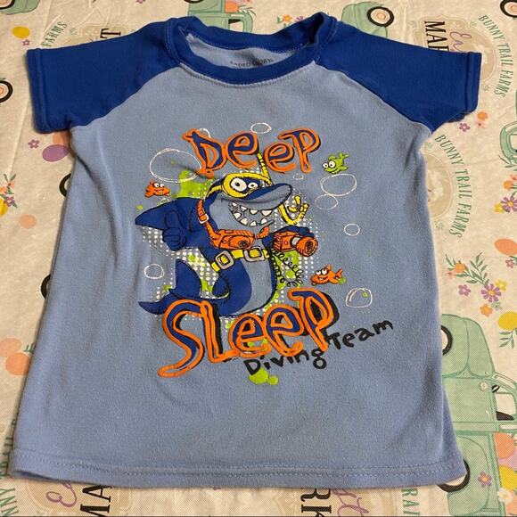 LOT of 3 Faded Glory Sleep Tees Short Sleeves Boys Size 5T - Picture 2 of 14